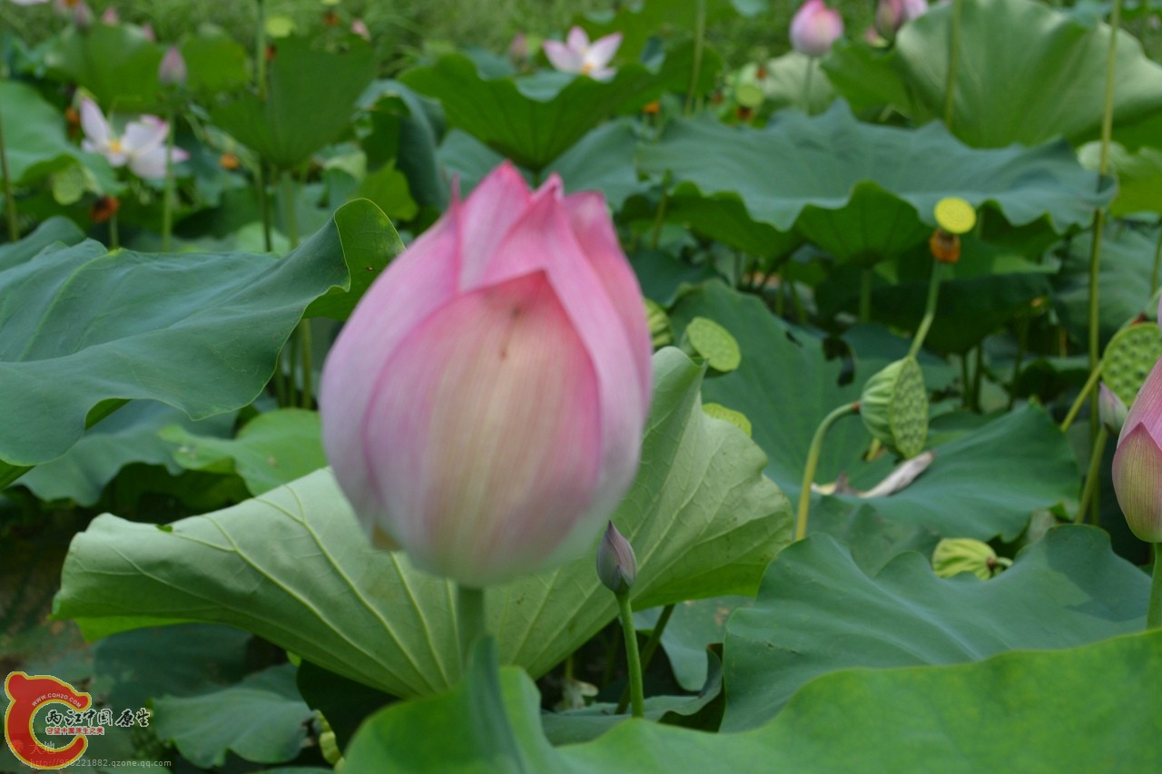 20110730897.jpg