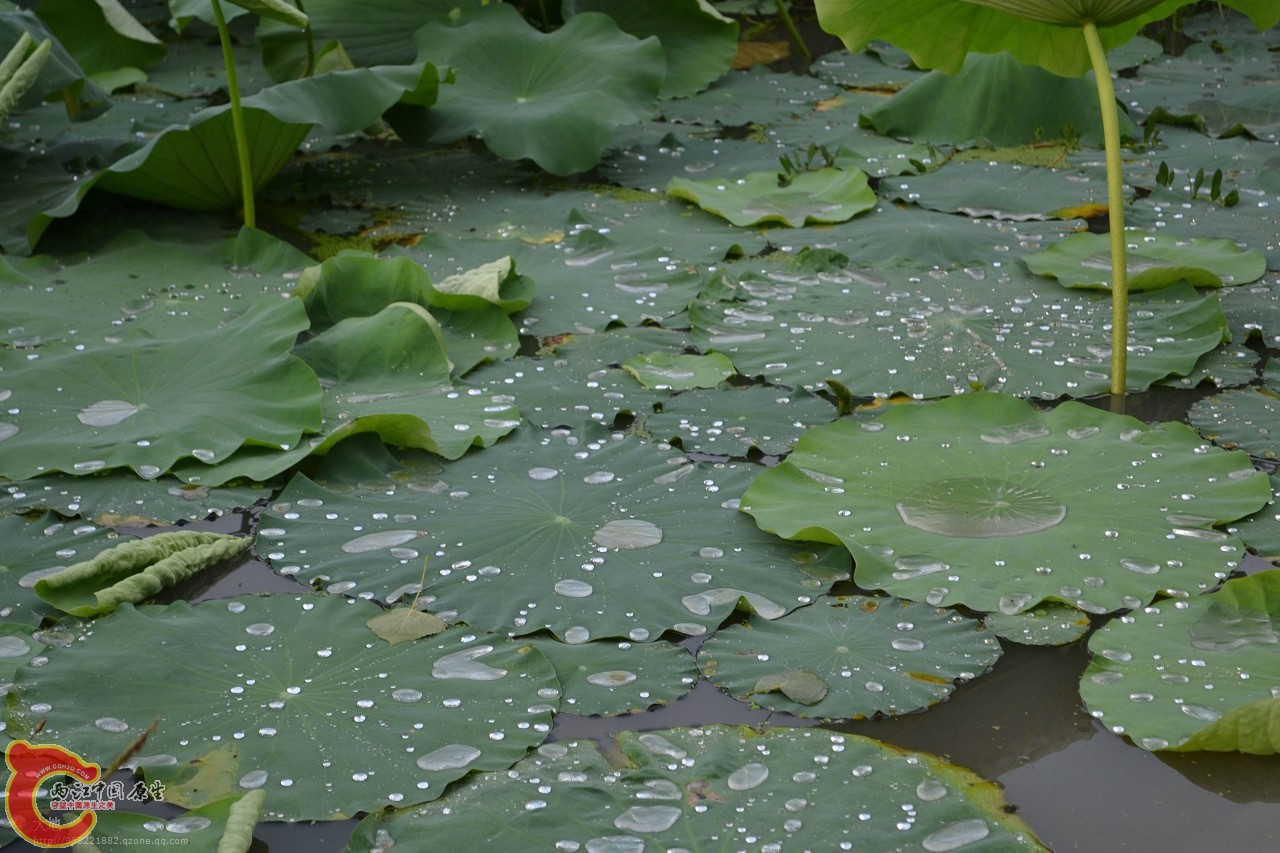 201107301046.jpg