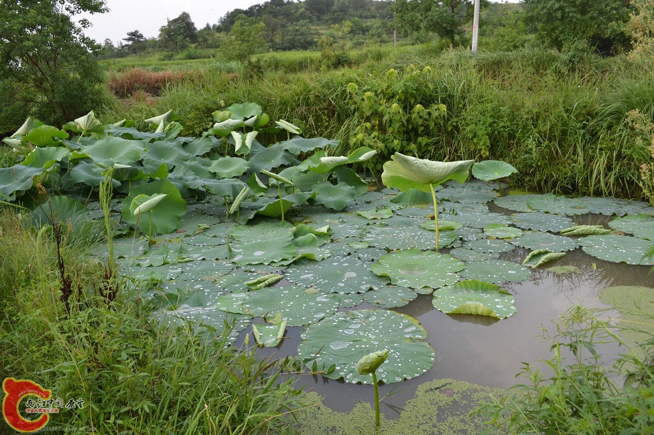 201107301047.jpg