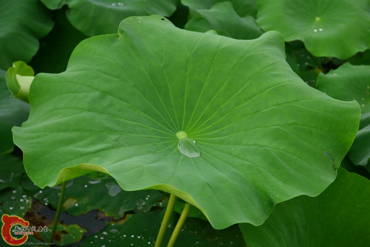 201107301048.jpg