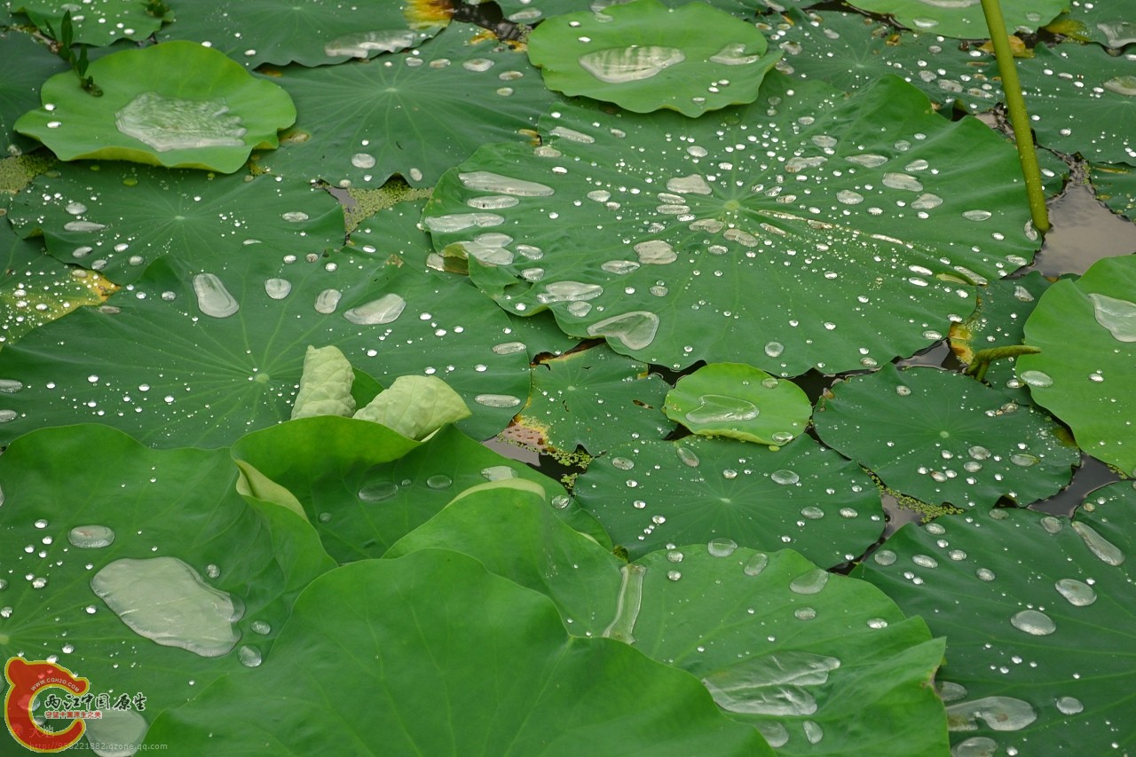 201107301050.jpg