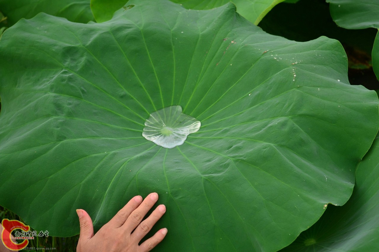 201107301051.jpg