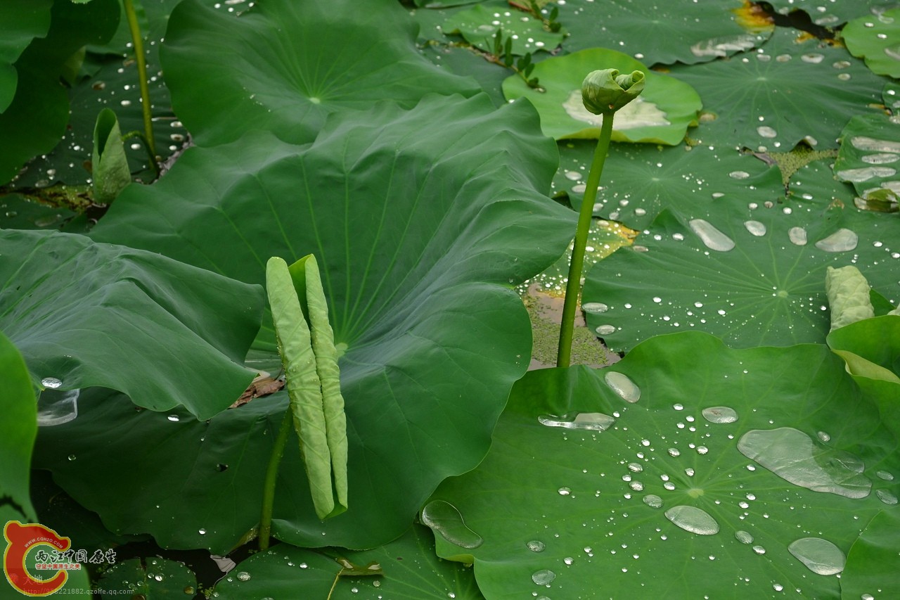 201107301052.jpg