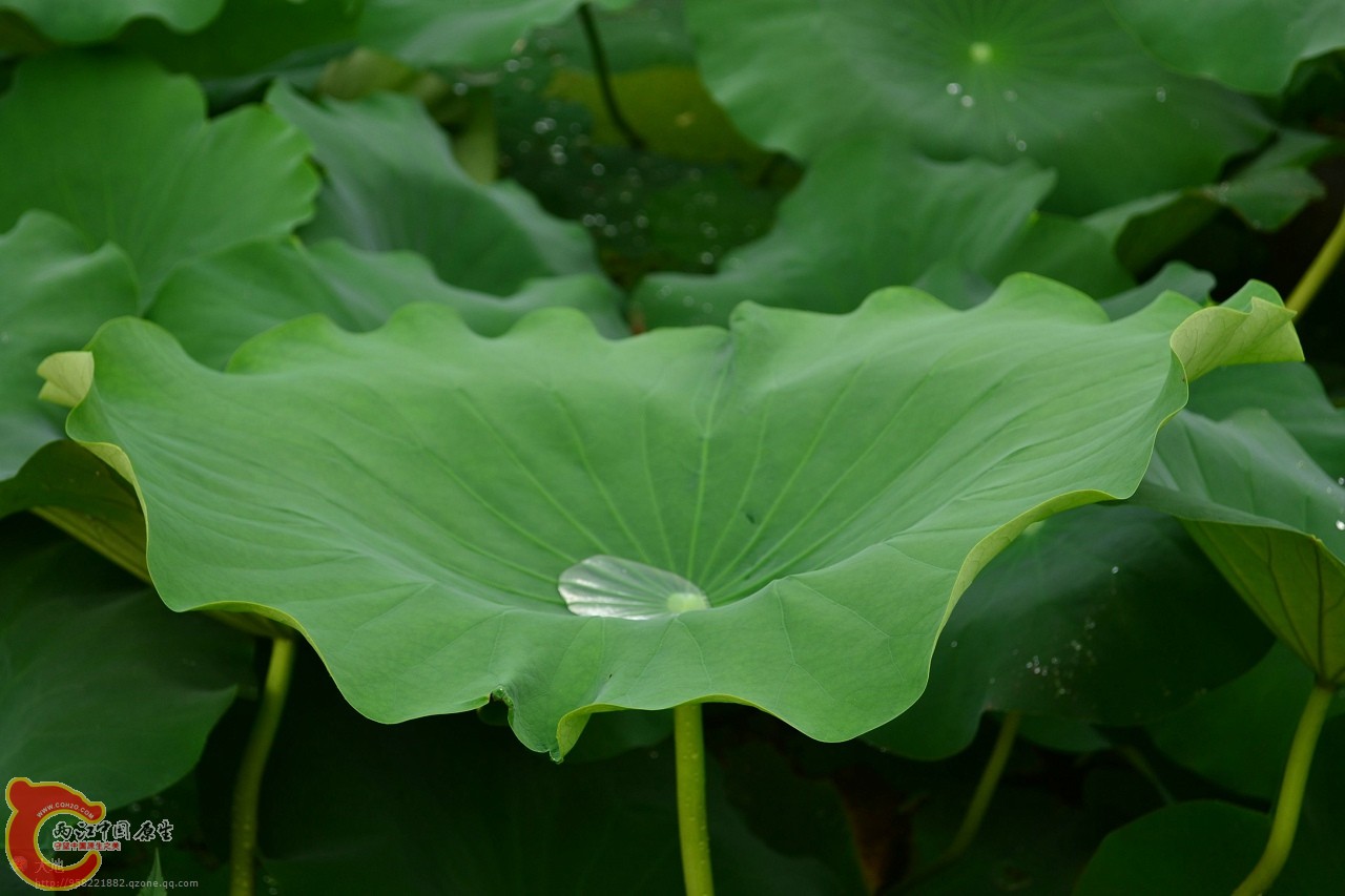 201107301053.jpg