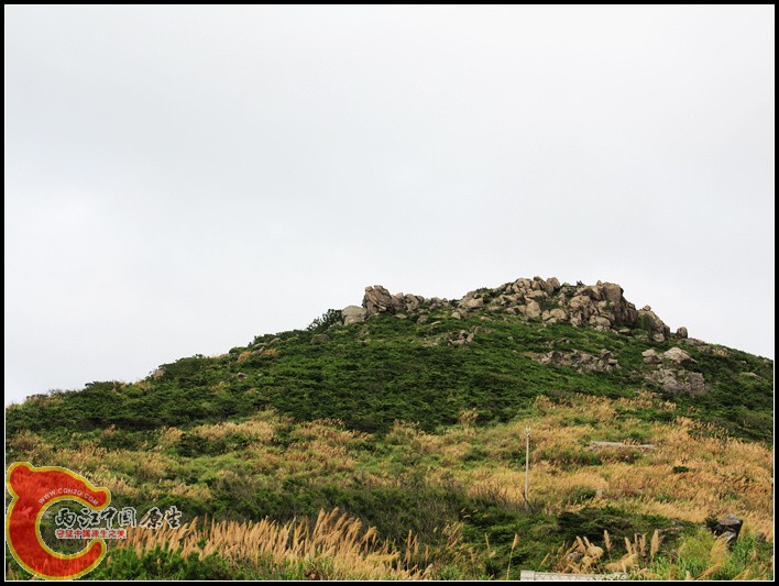 沿途的风景4.JPG