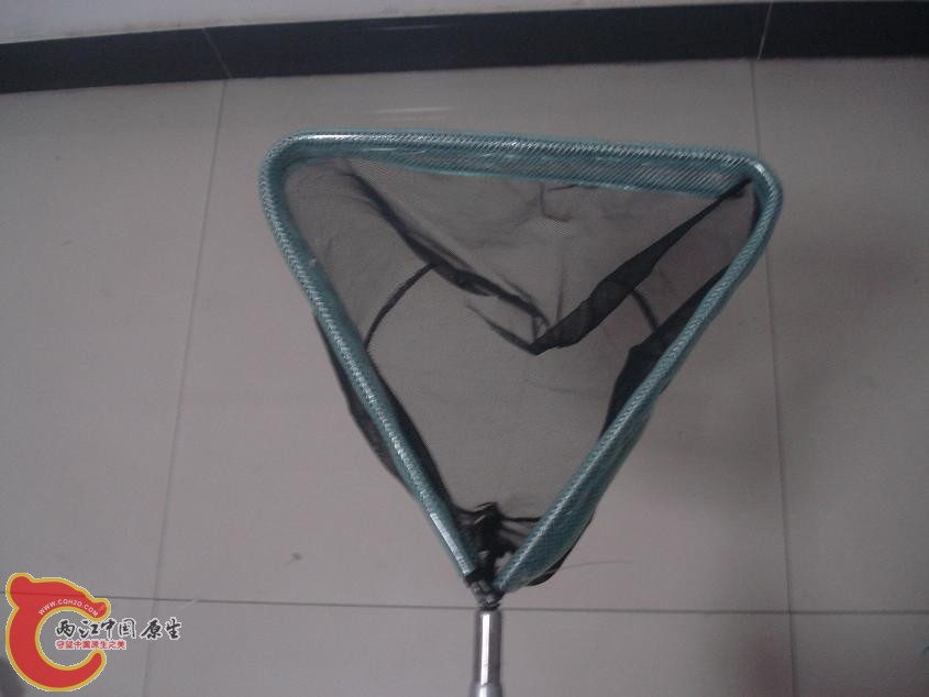 保护抄网不被磨到