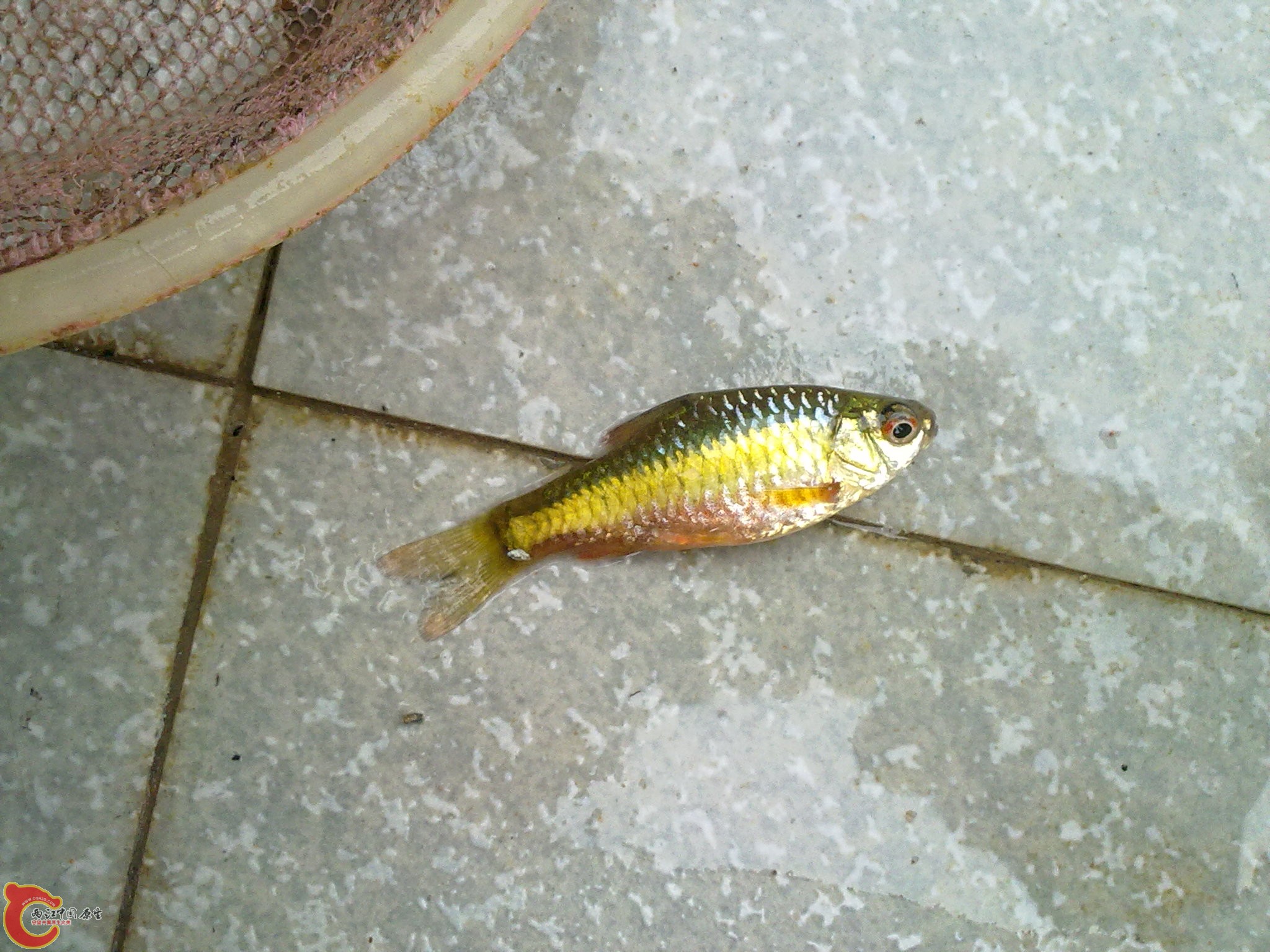 20110806461.jpg