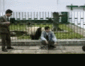 7.gif