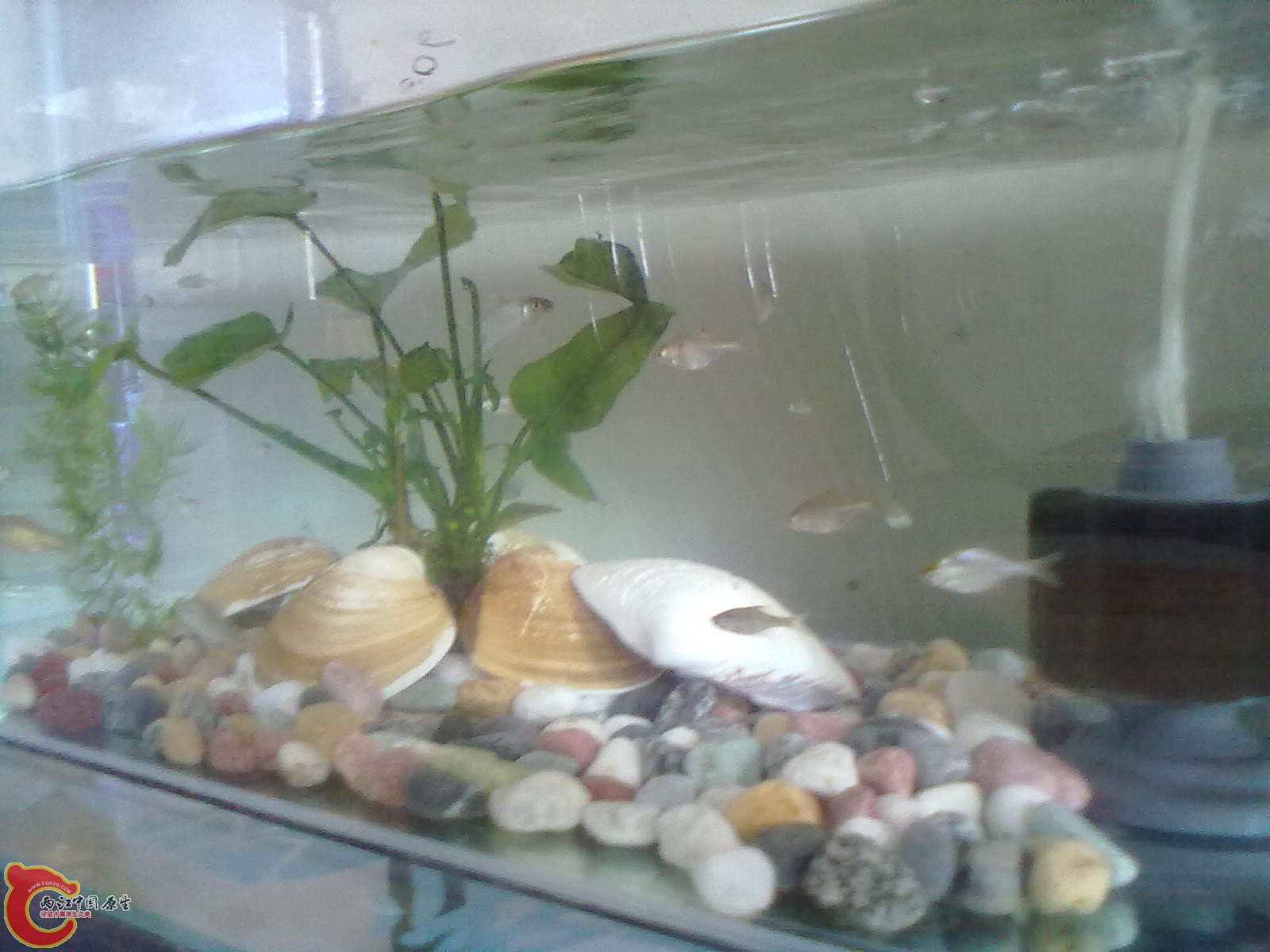 20110811160.jpg
