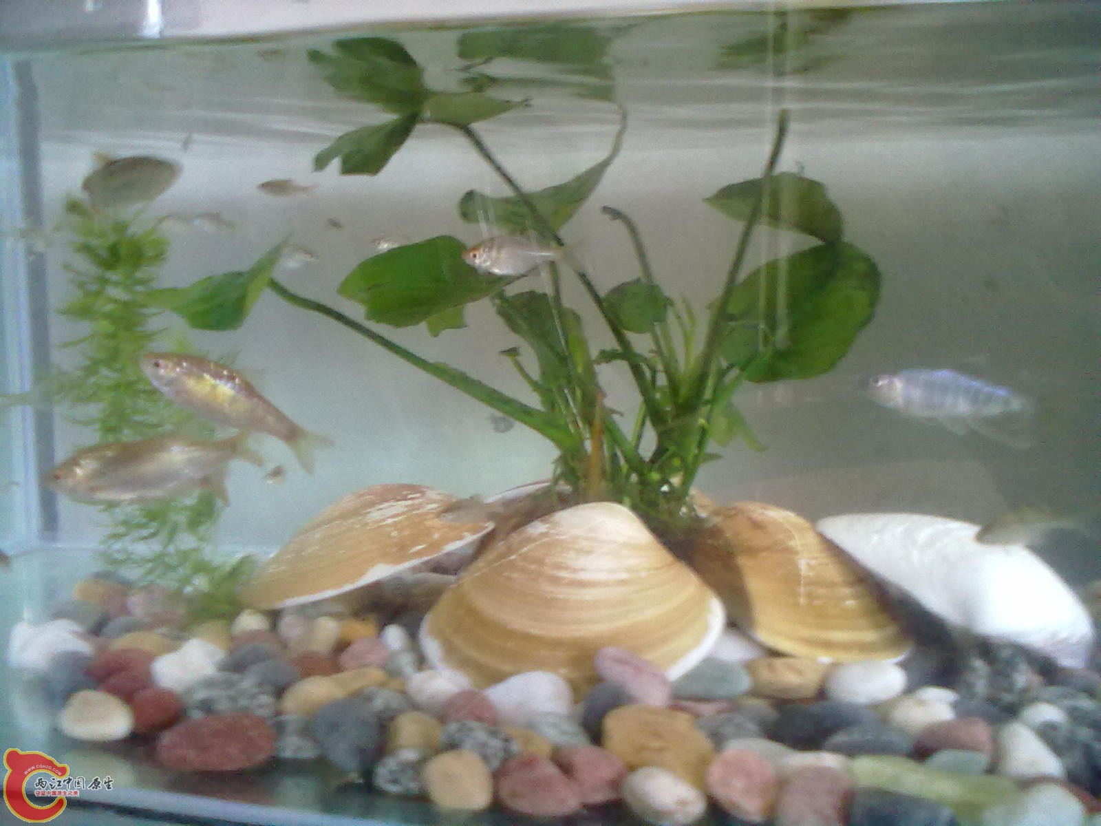 20110811156.jpg