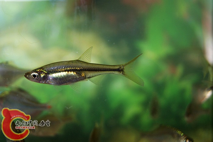 DSC04164.jpg