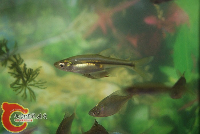 DSC04187.jpg
