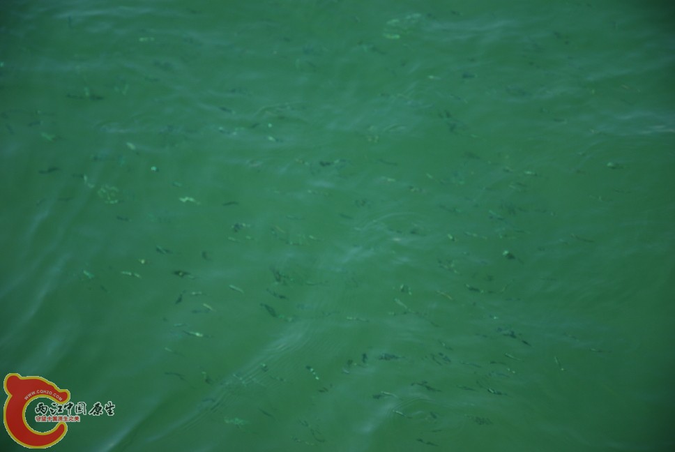 海捕1