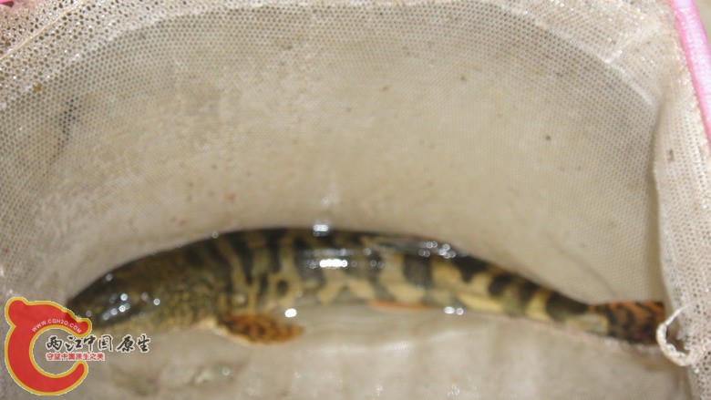 DSC06288_缩小大小.JPG