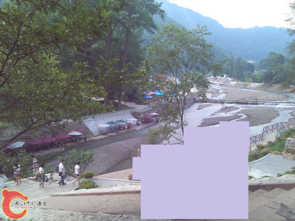 WP_000147.jpg