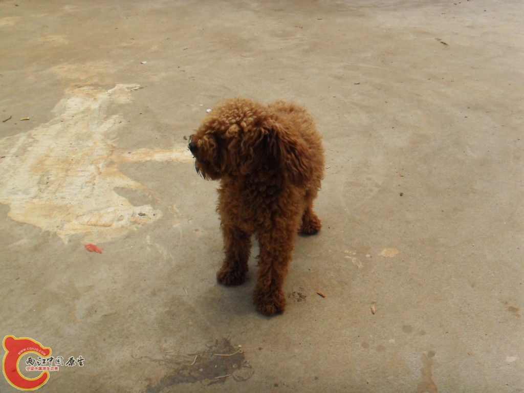 SDC17557.JPG
