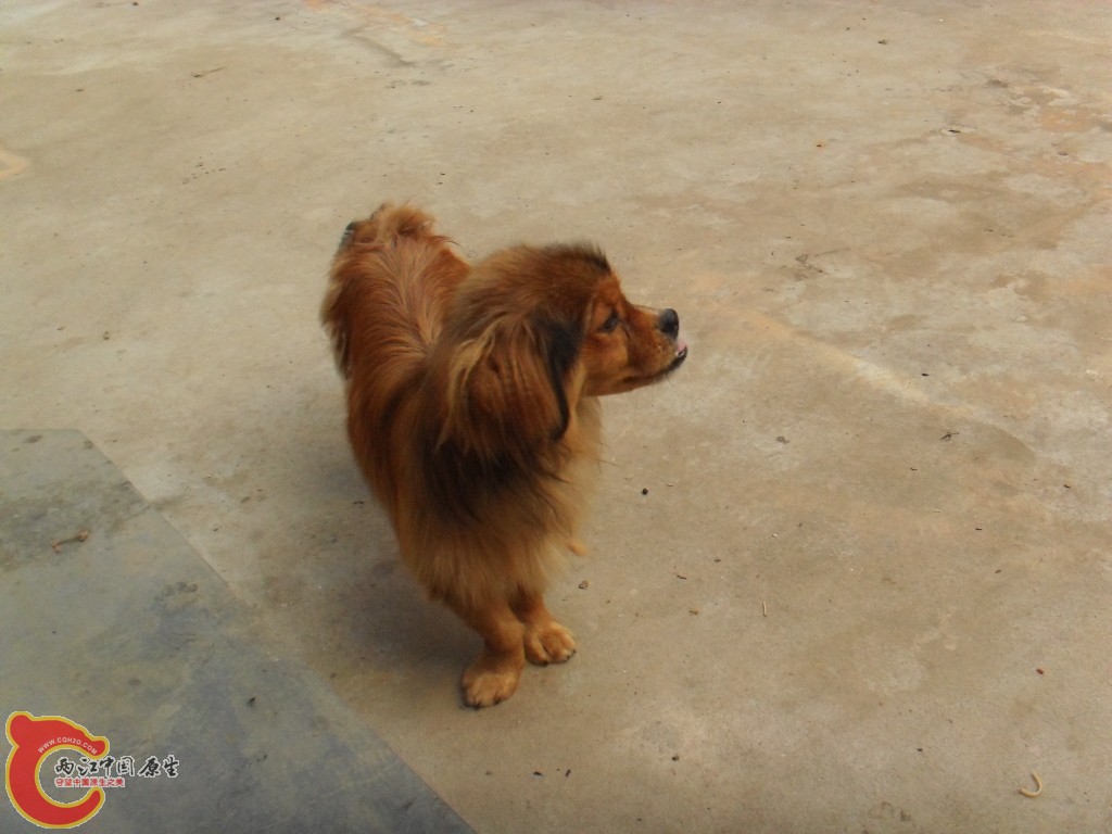 SDC17558.JPG