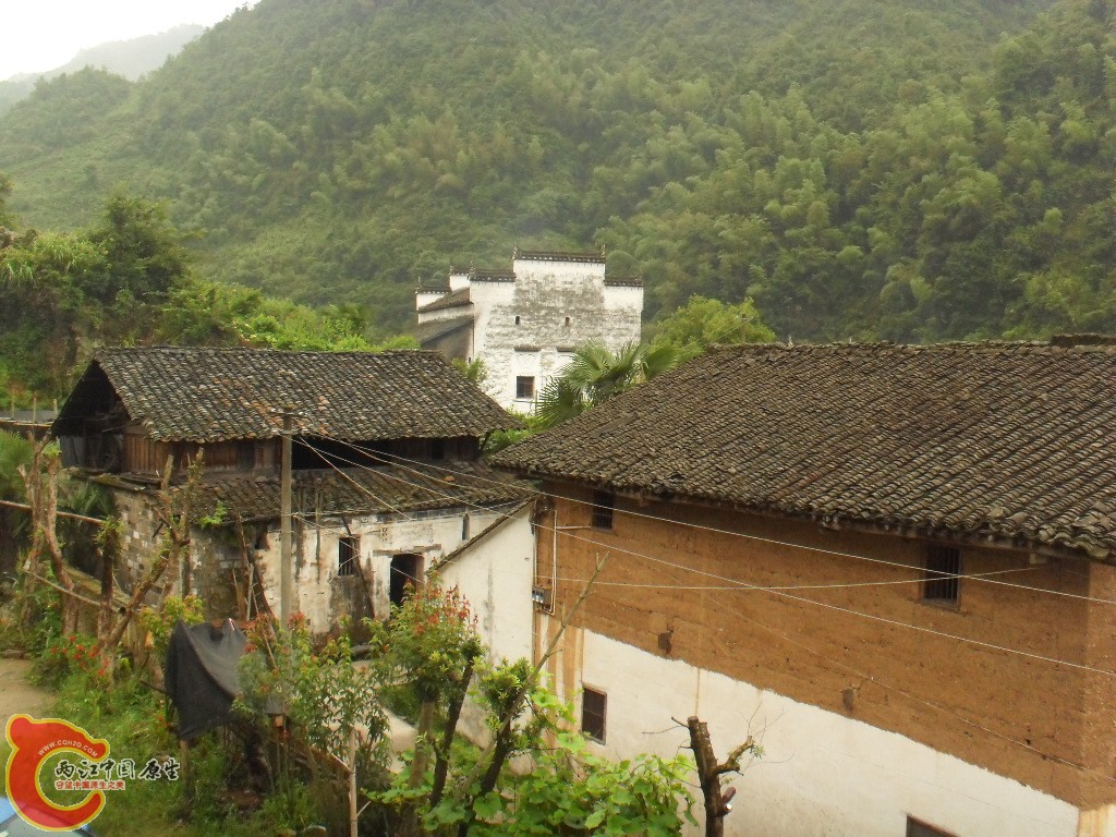 SDC17563.JPG