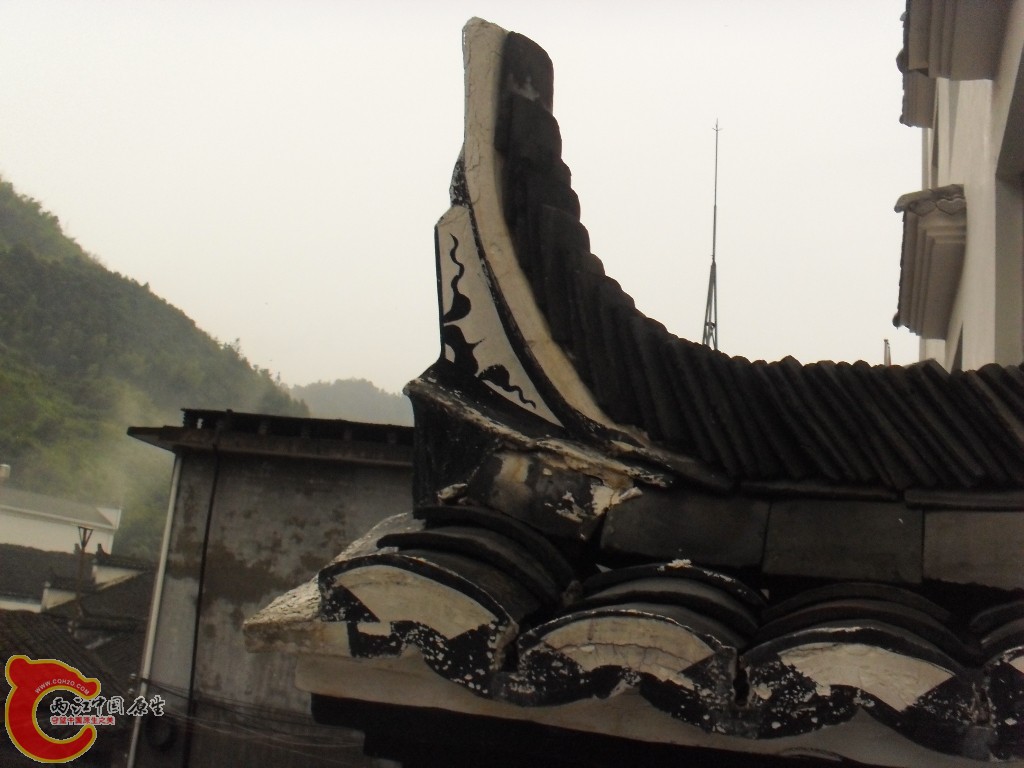 SDC17564.JPG