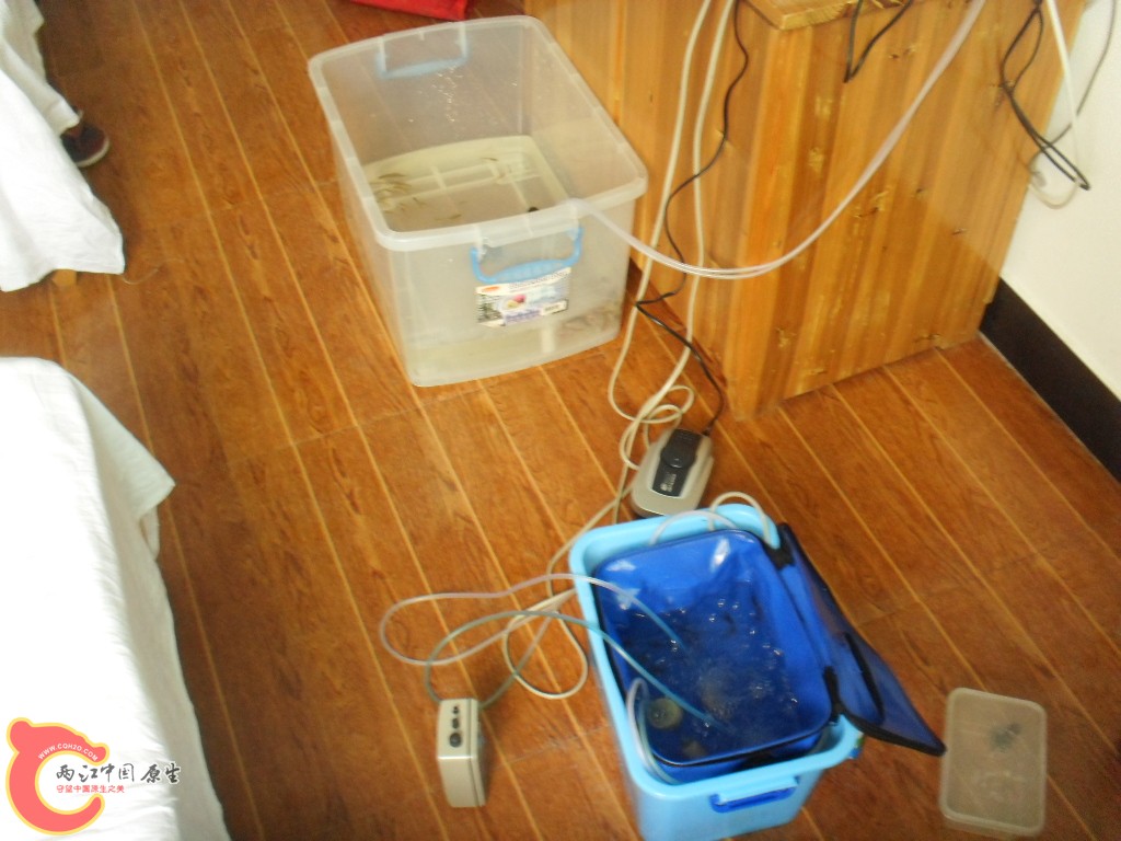 SDC17566.JPG