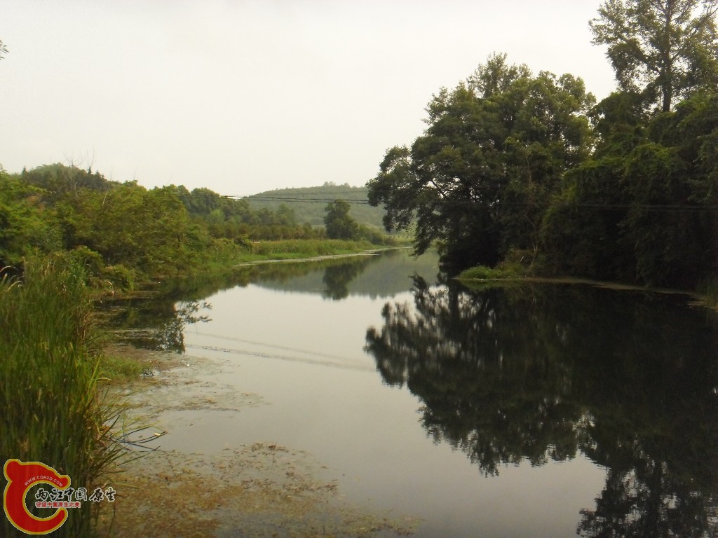SDC17573.JPG