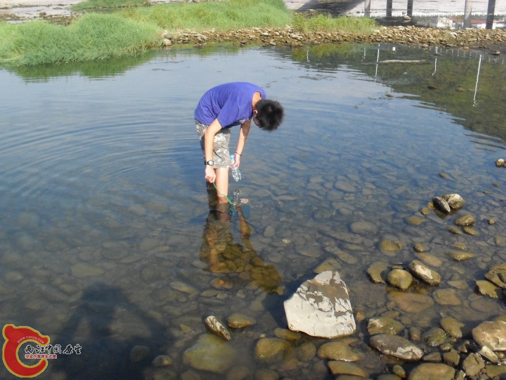 SDC17645.JPG