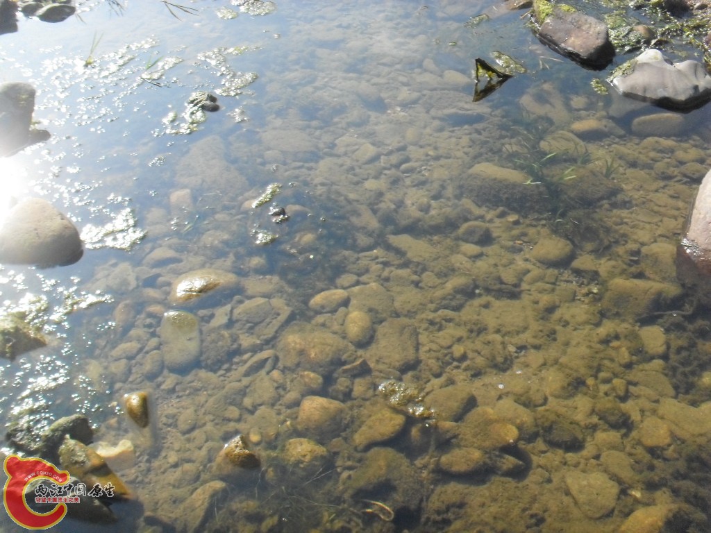 SDC17649.JPG