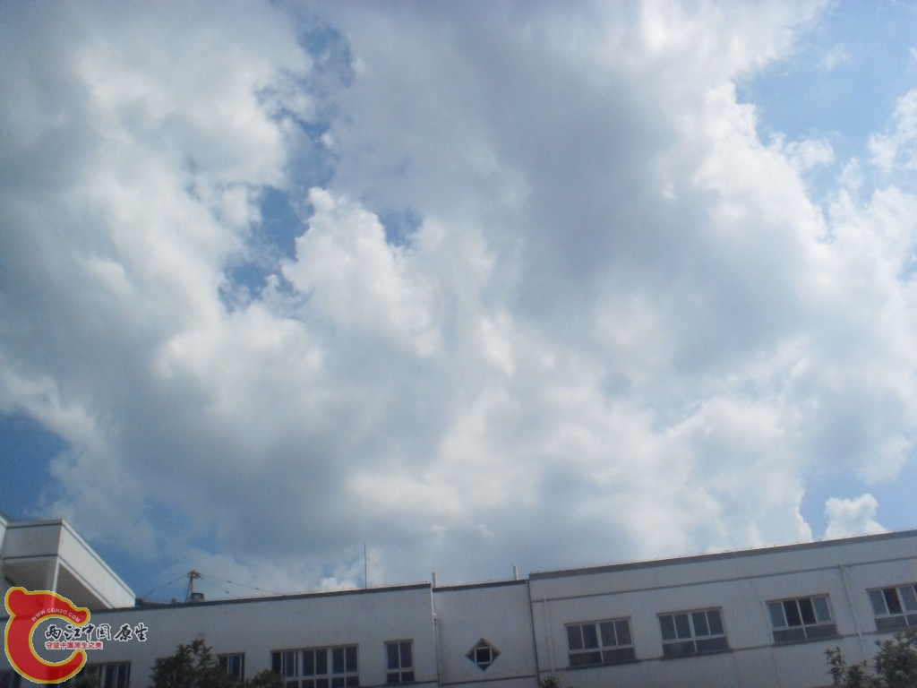 SDC17653.JPG