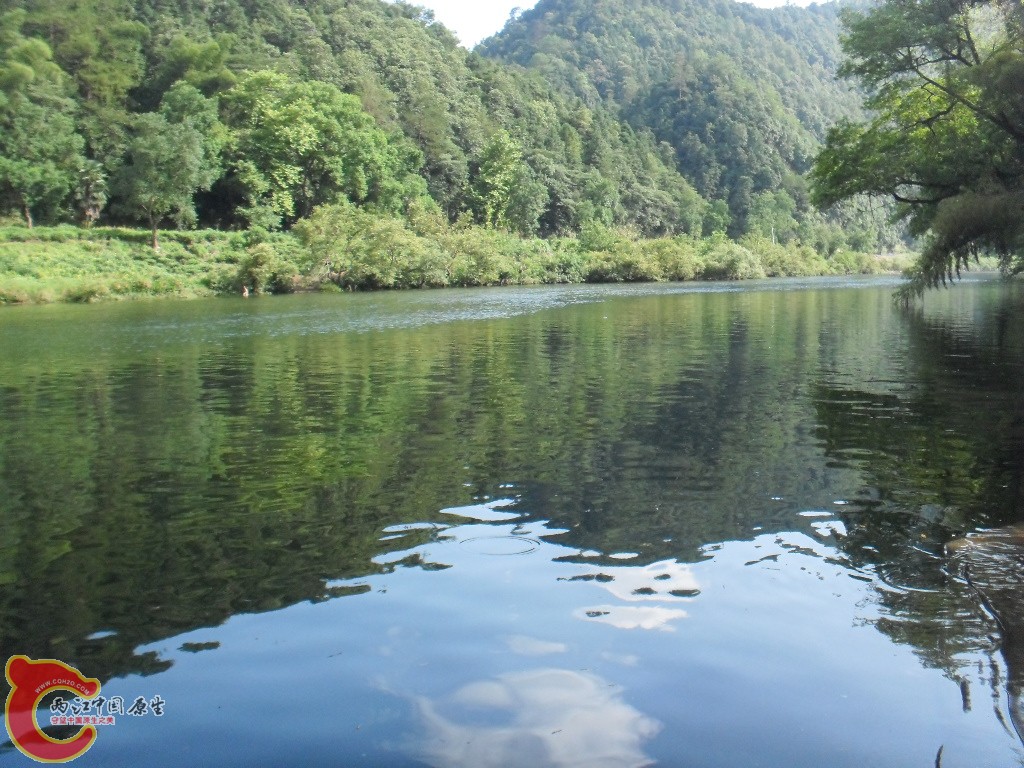 SDC17655.JPG