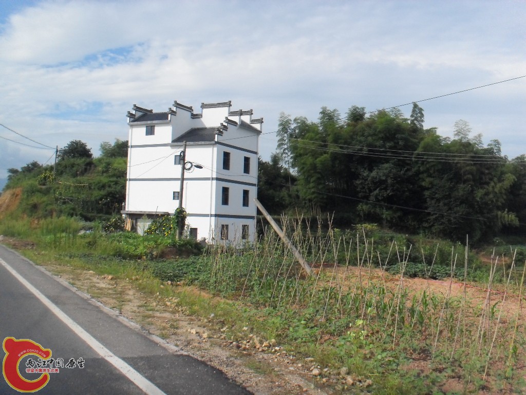 SDC17676.JPG