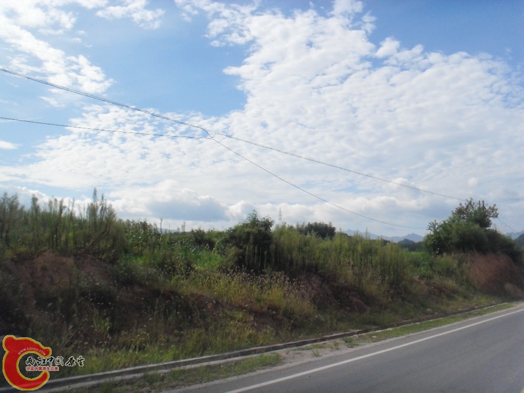 SDC17677.JPG