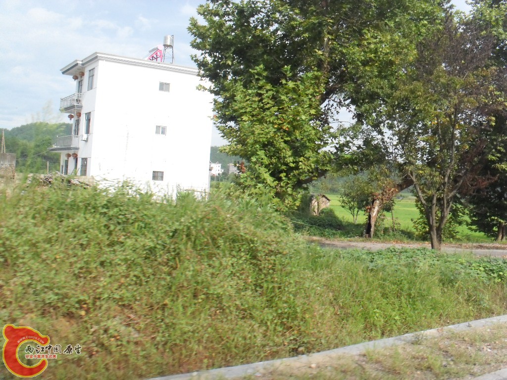 SDC17681.JPG
