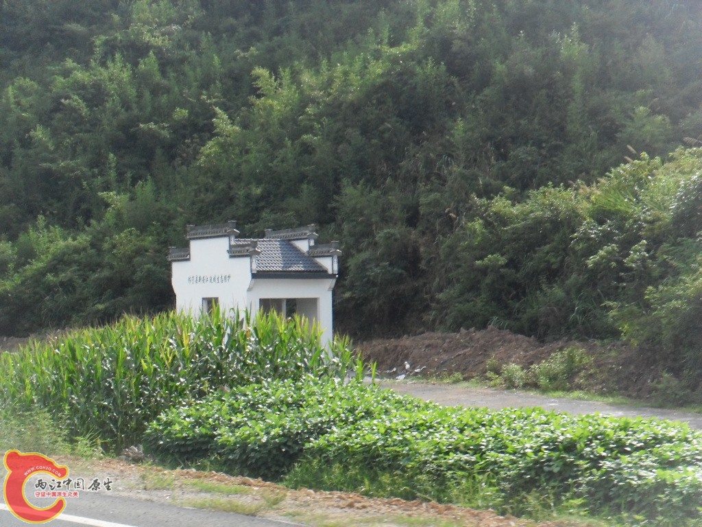 SDC17686.JPG