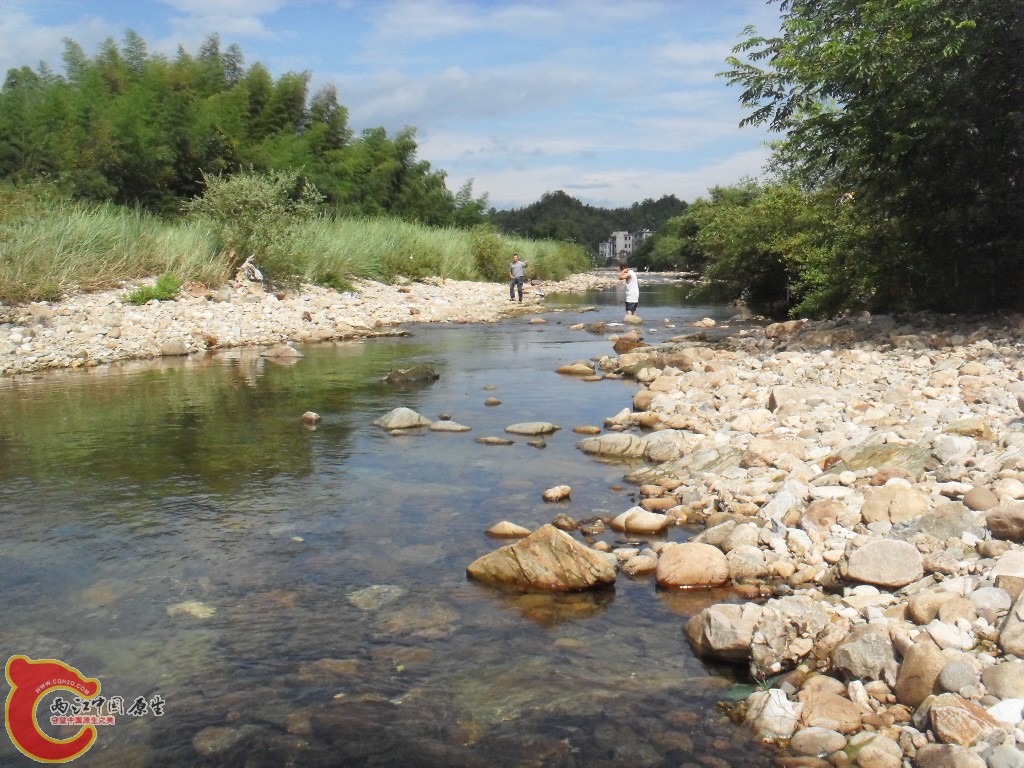 SDC17688.JPG