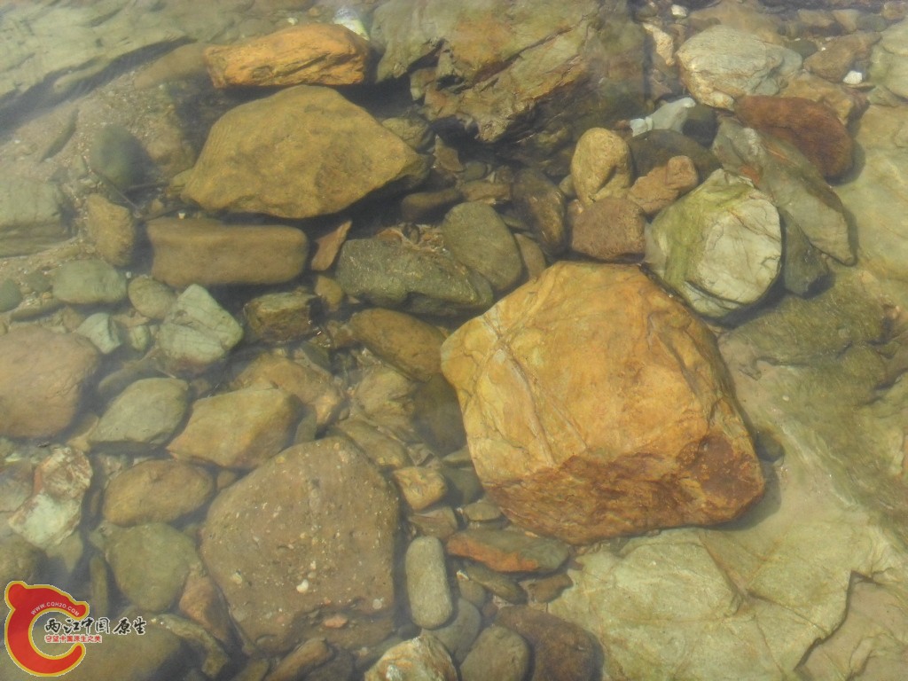 SDC17690.JPG