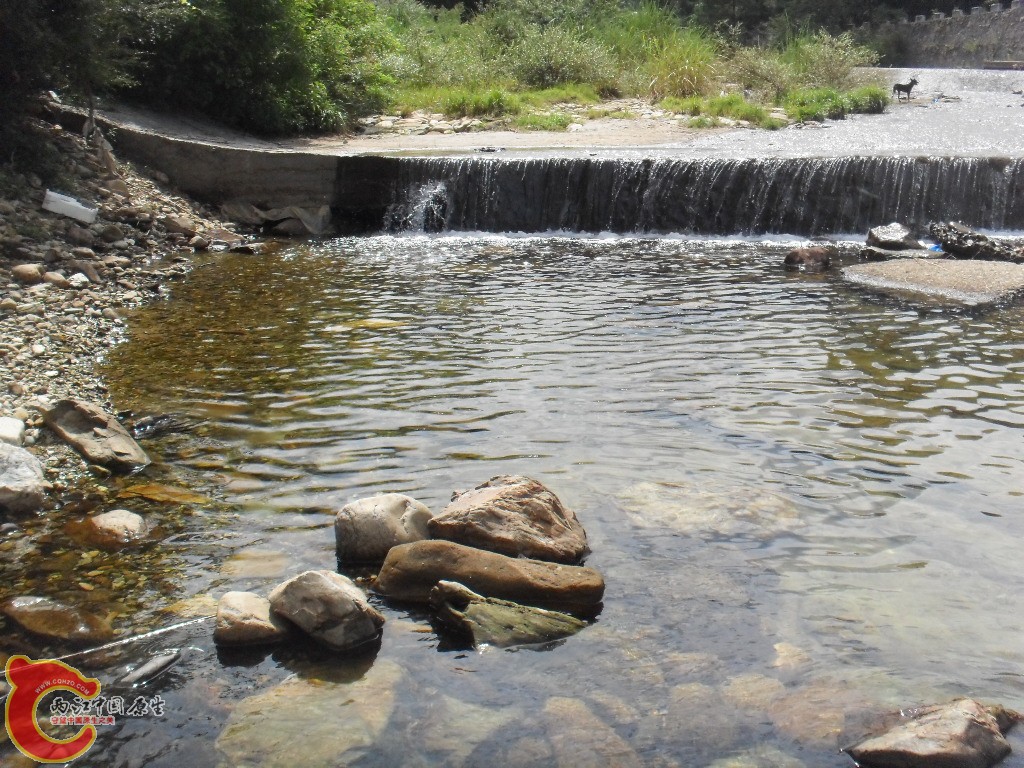 SDC17692.JPG
