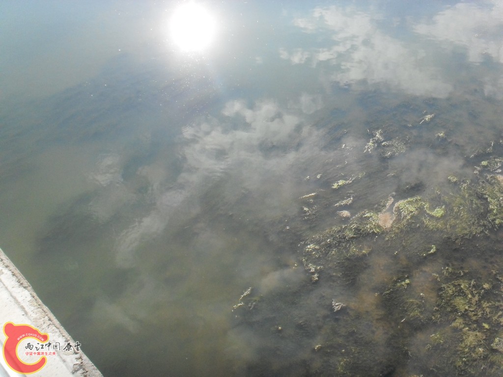 SDC17702.JPG