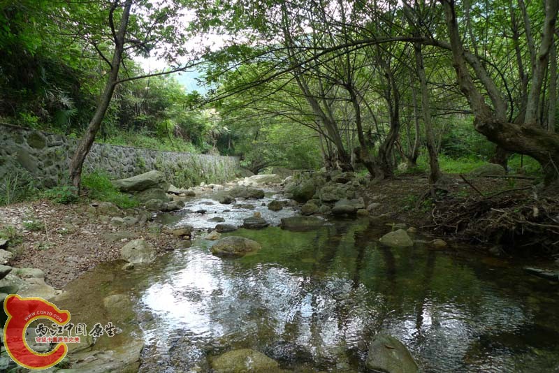 P1020790.jpg