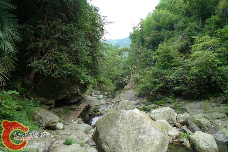 P1020821.jpg
