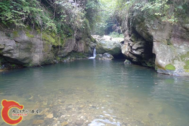 P1020859.jpg