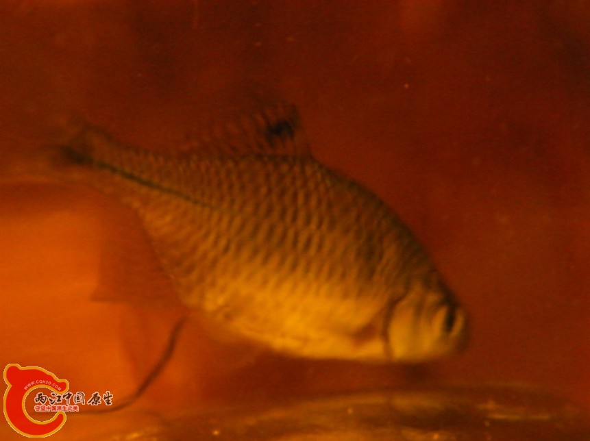 01-B.jpg
