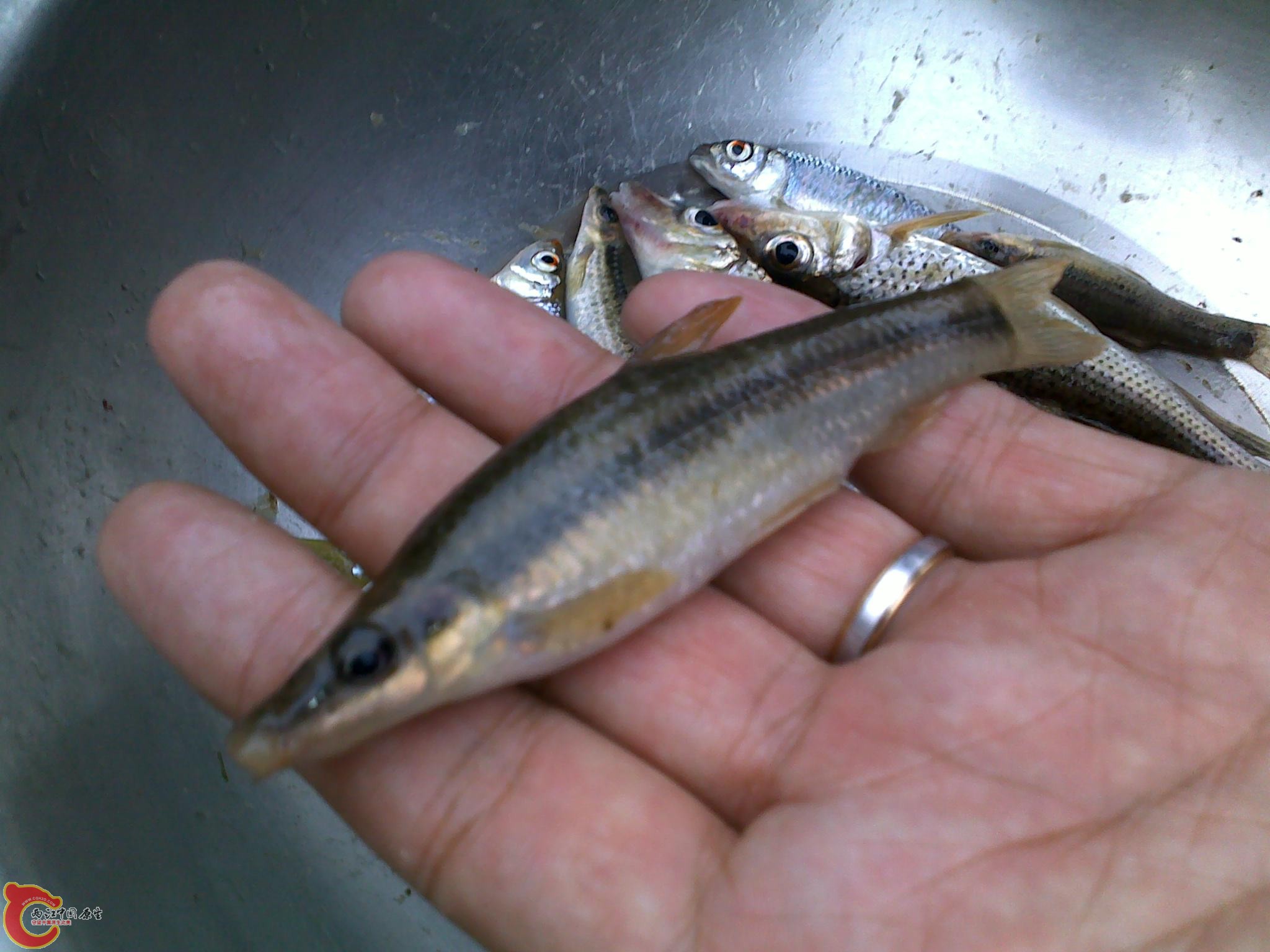 20110811236.jpg