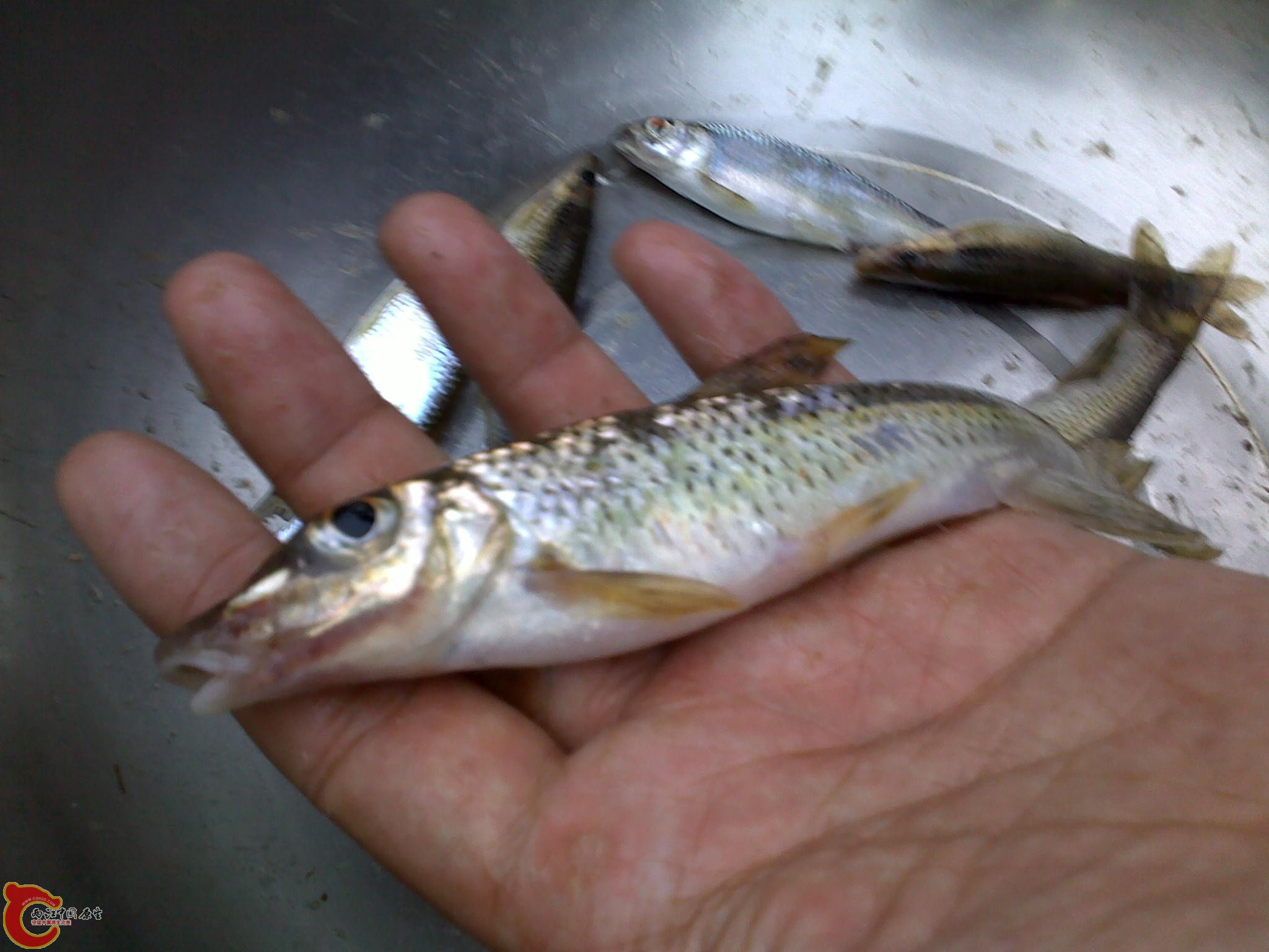 20110811237.jpg