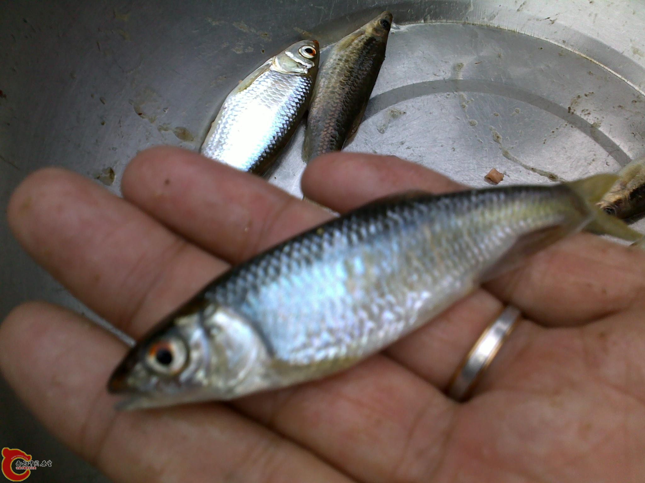 20110811238.jpg