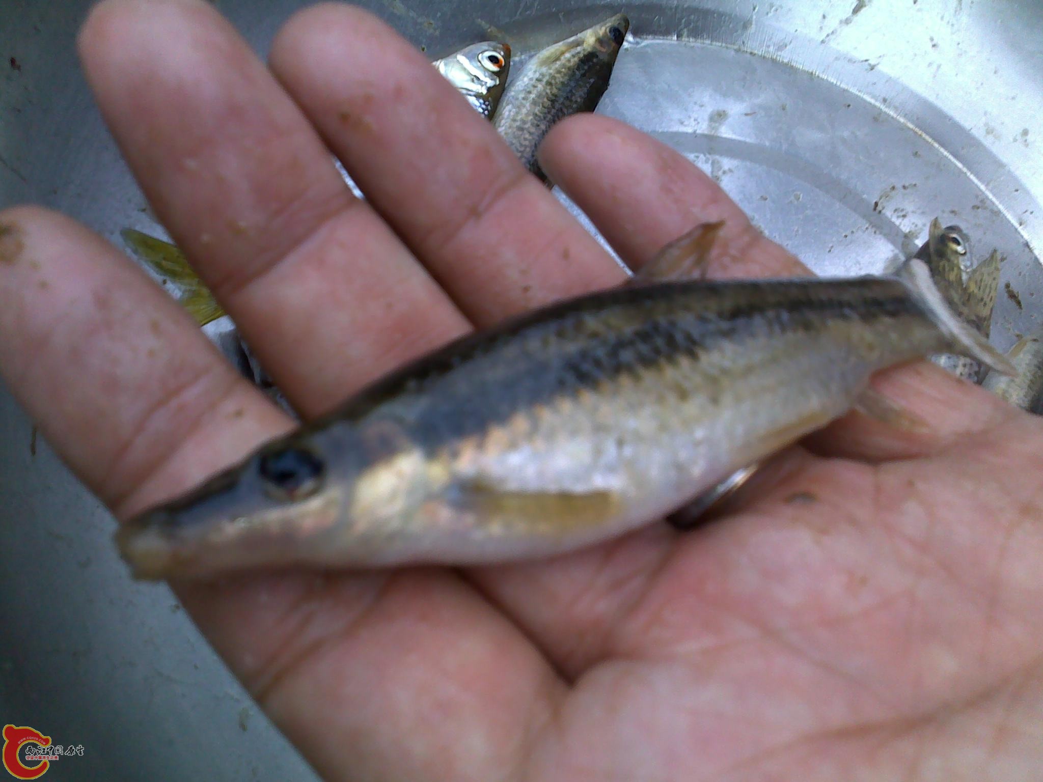20110811239.jpg