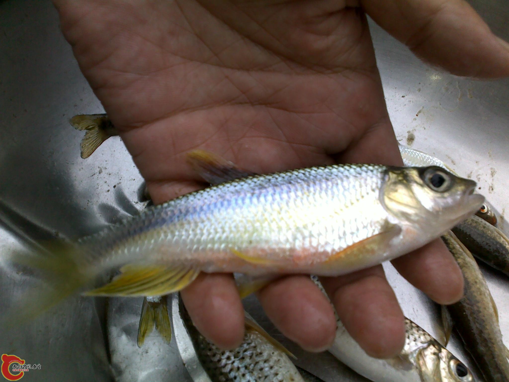 20110811240.jpg