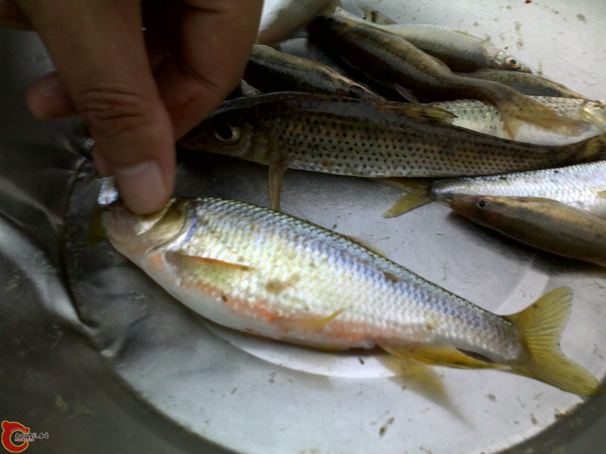 20110811244.jpg
