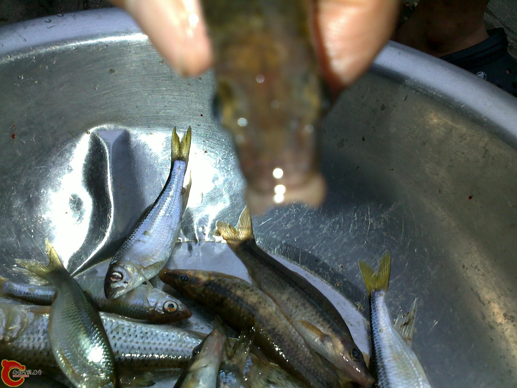 20110811248.jpg