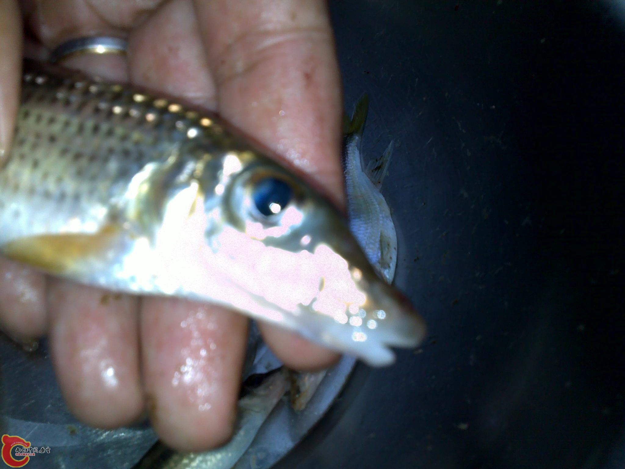 20110811249.jpg