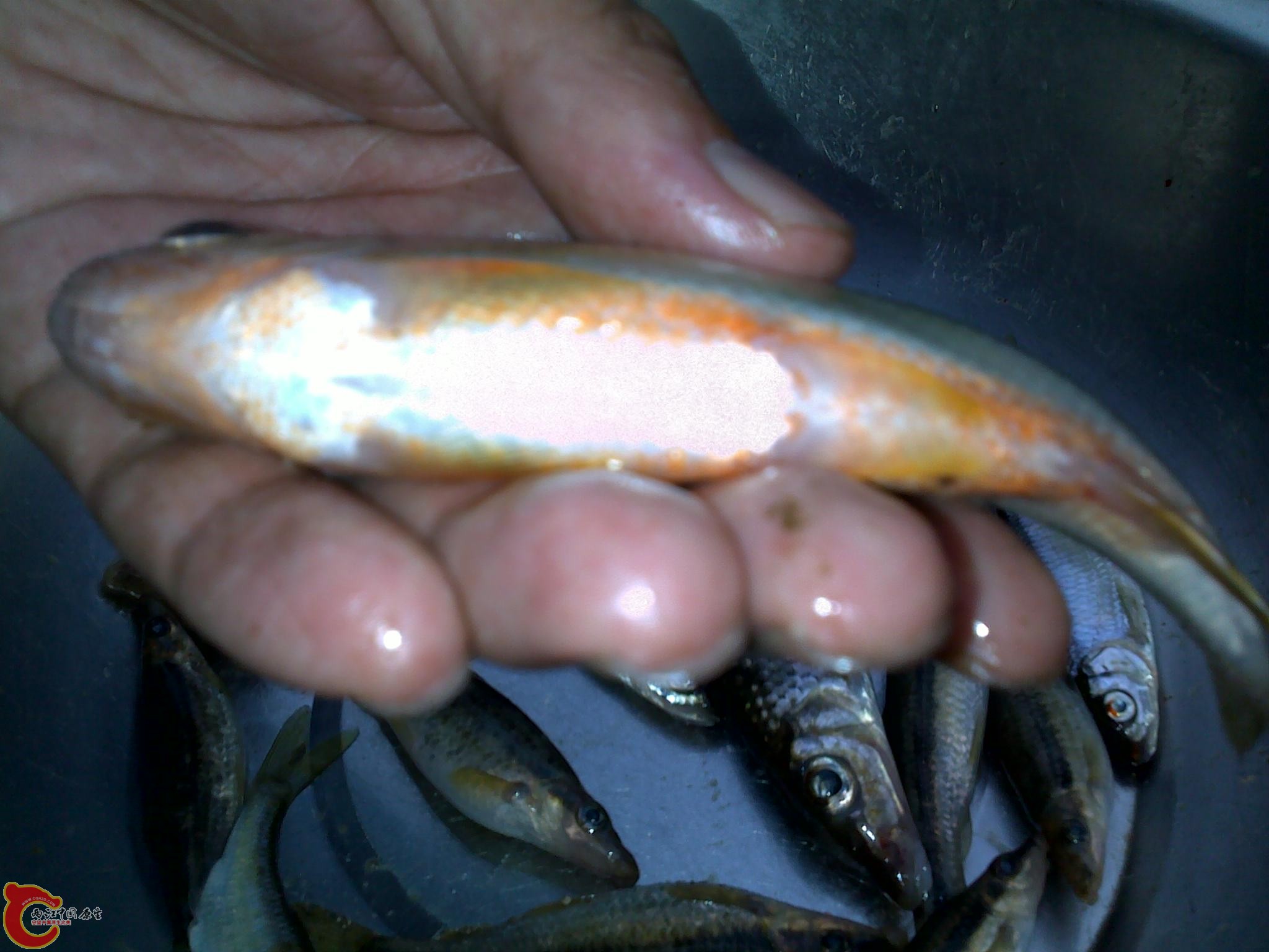 20110811251.jpg